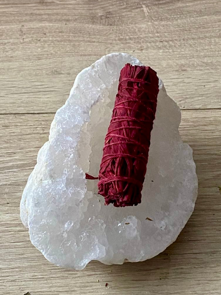 Sauge Sang de dragon